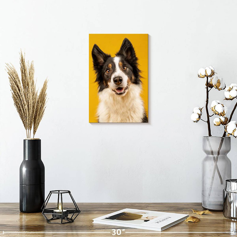 Brampt Adorable Border Collie, 12" H x 8" W