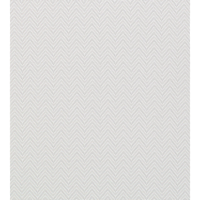 Tissu de summit silver