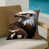 Aigle martial noir n'est pas disponible