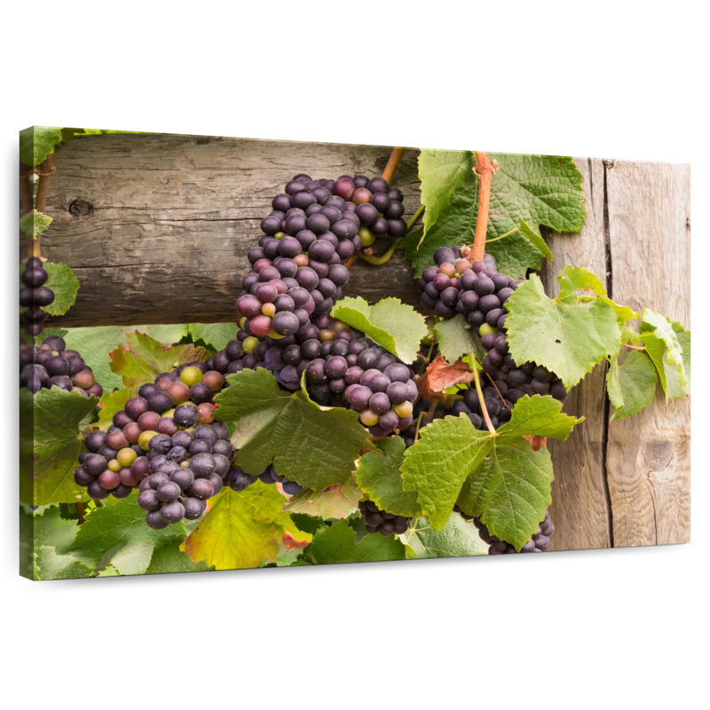 Yarlin Purple Pinot Grapes, 34" H x 51" W