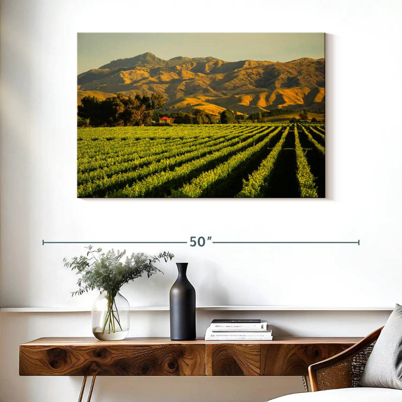 Alvord Blenheim Vineyard, H 26 po x l 39 po