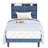Modern Style Fabric Upholstered Bed XL Twin Size, Platform Bookshelf Bed With Power Outlets-739078931