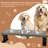 Elevated Feeder-88145632-88145636