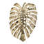 Gold Monstera Leaf Wall Décor-567054320
