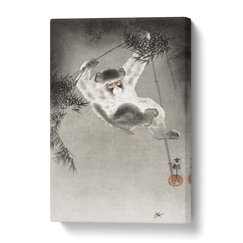 Monkey on a Bamboo Branch by Ohara Koson - Wrapped Canvas, 61 cm H x 40.6 cm W