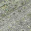  Tapis intérieur / extérieur lavable à la machine Chantille ACN1220-1711954192