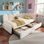 Velvet Upholstered 3FT Single Sofa Bed 90X190cm With Drawers Storage With Slatted Frame-59591104