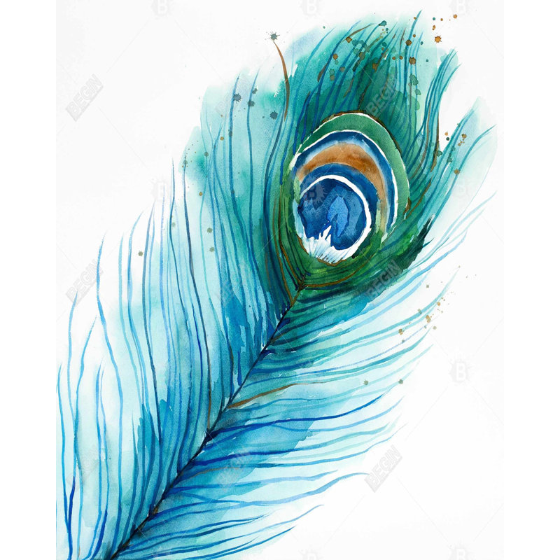 Long Peacock Feather Print On Canvas