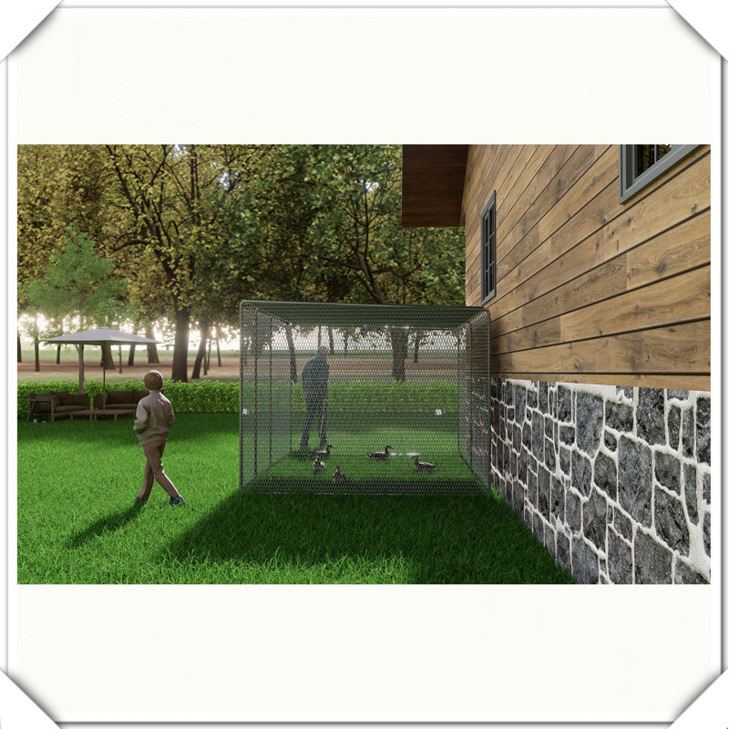 Cage à poules pour l'extérieur, H 78,7 po x l 118,1 po x P 78,7 po
