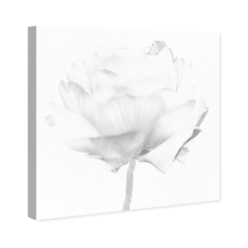 White Peony due Florals - reproduction d'art sur toile, Toile tendue, H 20 po x l 20 po