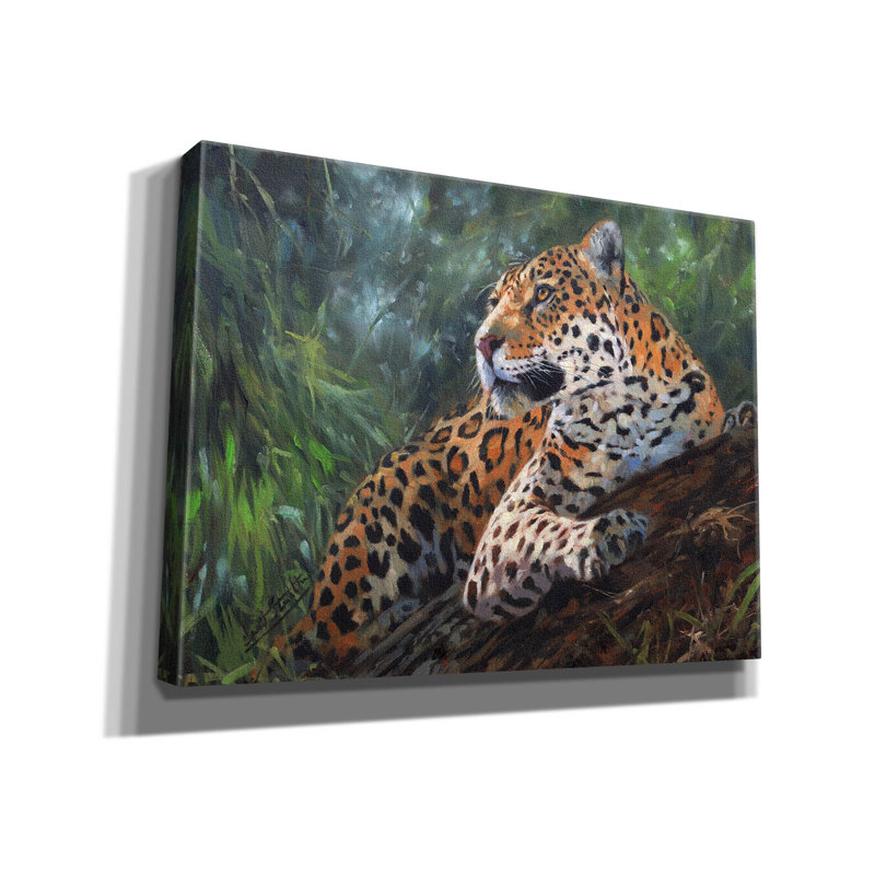 «Bungalow Rose» Jaguar In Tree2 par David Stribble, art mural sur toile, H 12 po x l 16 po x P 0,75 po