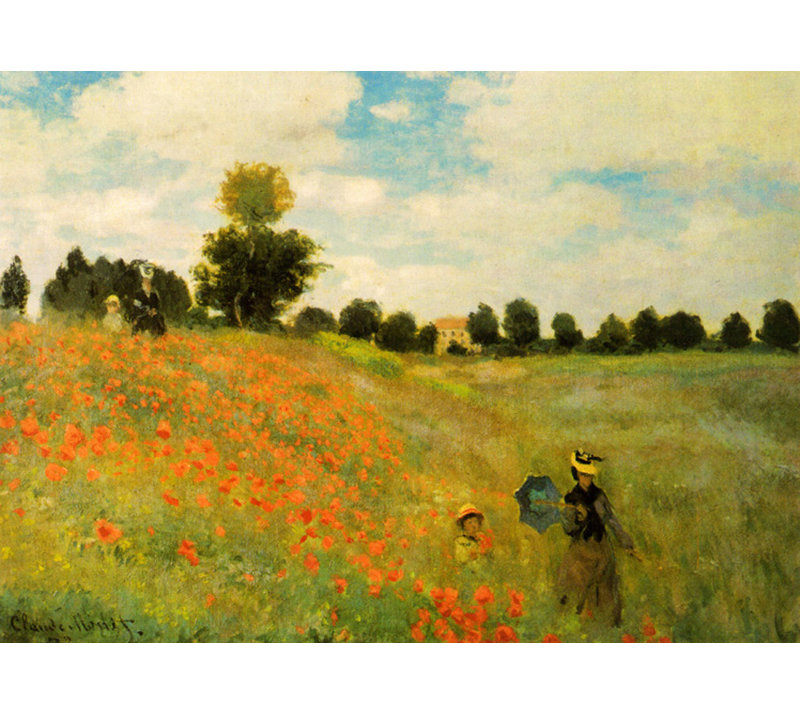 Coquelicots sauvages, H 17 po x l 24 po