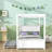 Canopy Bed-505120367
