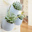 Pot de fleurs mural en plastique-775102549-734562125