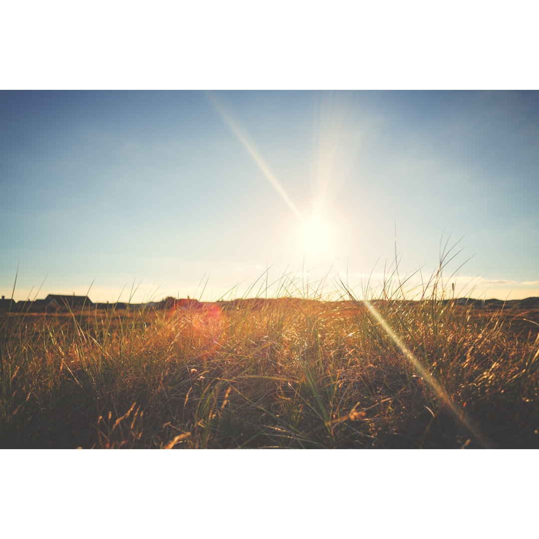 Sommerwiese mit Wildblumen bei Sonnenuntergang von Rike - Leinwandbild