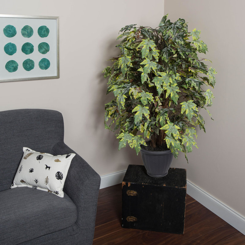 Artificial Frosted Maple Extra Full Series, Gray