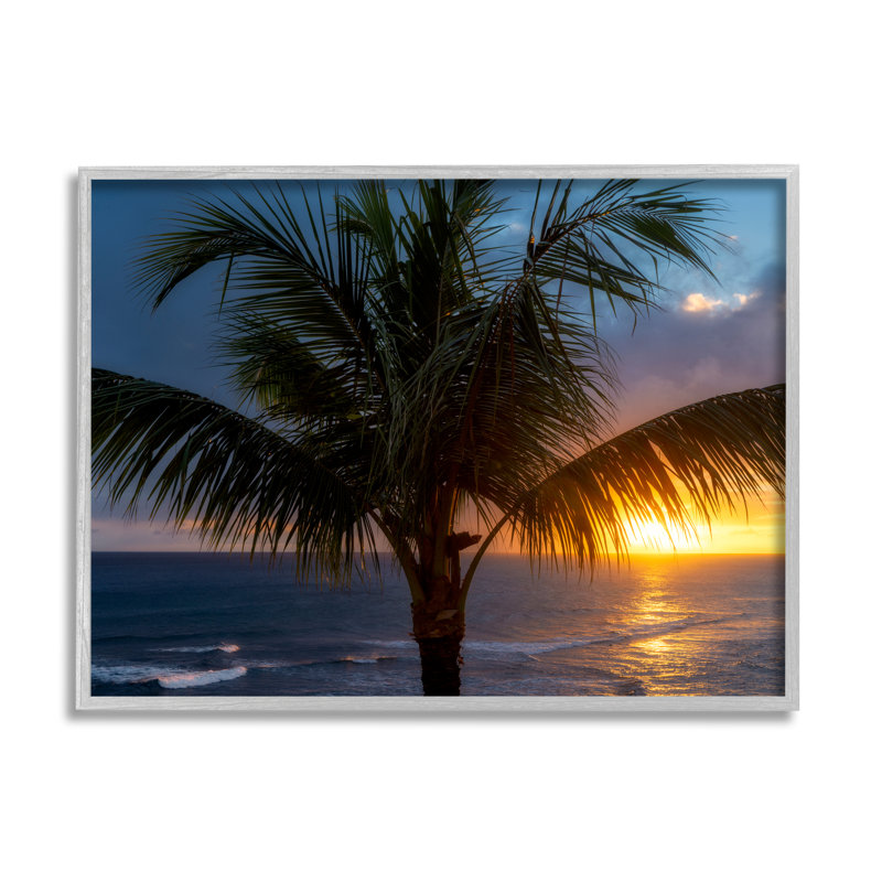 Coucher de soleil sur les palmiers tropicaux par Dennis Frates, H 11 po x l 14 po x P 1,5 po, Estampe numérique Farmhouse