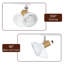 Spotlight-108219500-108219501