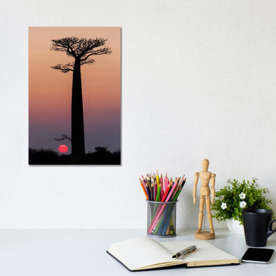 " Madagascar, Morondava. Baobab Trees Are Silhouetted Against The Morning Sky. " by Ellen Goff