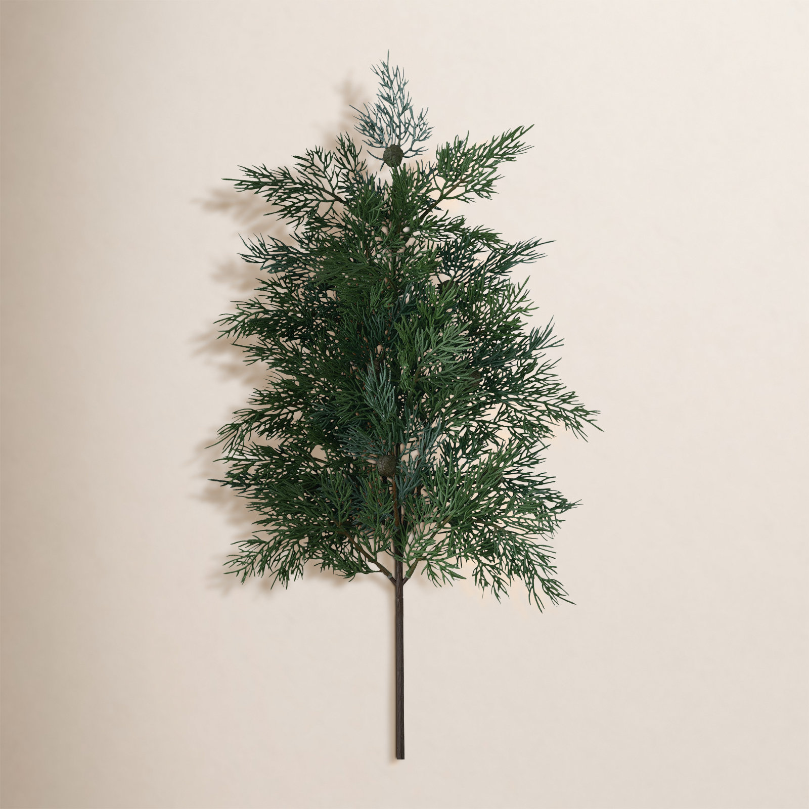 Cedar Floral Stems