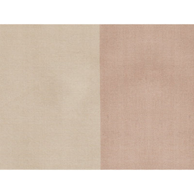 Petersburg Stp Silk Fabric