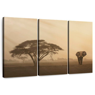 Brampt Elephant In Amboseli Park