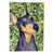 Doberman