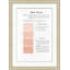 Coral 6 Framed Print
