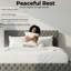 Upholstered Bed-1206352084-1206352080