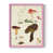 Rose n'est pas disponible
