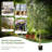 71.5'' Faux Olive Tree Tree