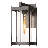 Cela Outdoor Wall Lantern-88501488-88501491-118433158