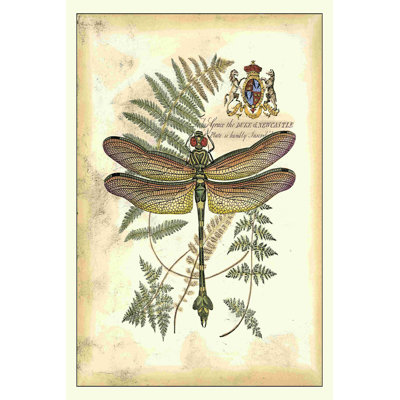 Libellule royale III