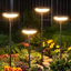 Éclairage solaire de jardin, 6 lumières solaires lumineuses 40LM d'extérieur, jusqu'à 14 heures, 31 po de hauteur, éclairage solaire de sentier extérieur, allumage / extinction automatique pour l'extérieur de la cour