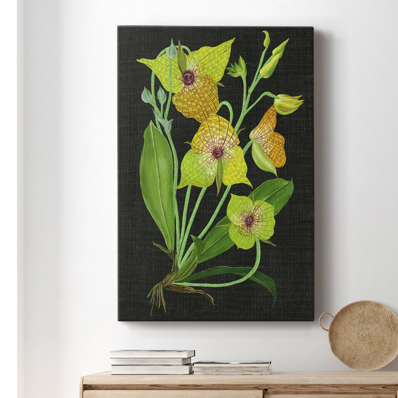 Telipogon Caulescens II - peinture sur toile tendue, H 18 po x l 12 po x P 1 po