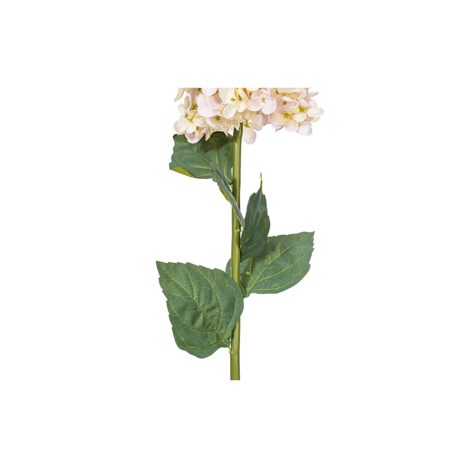 Hydrangea Stem, Lavender