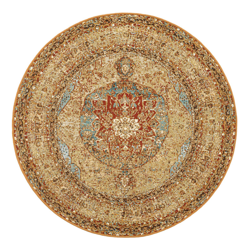 Indoor/Outdoor Traditional Area Rug, Round 4'1"