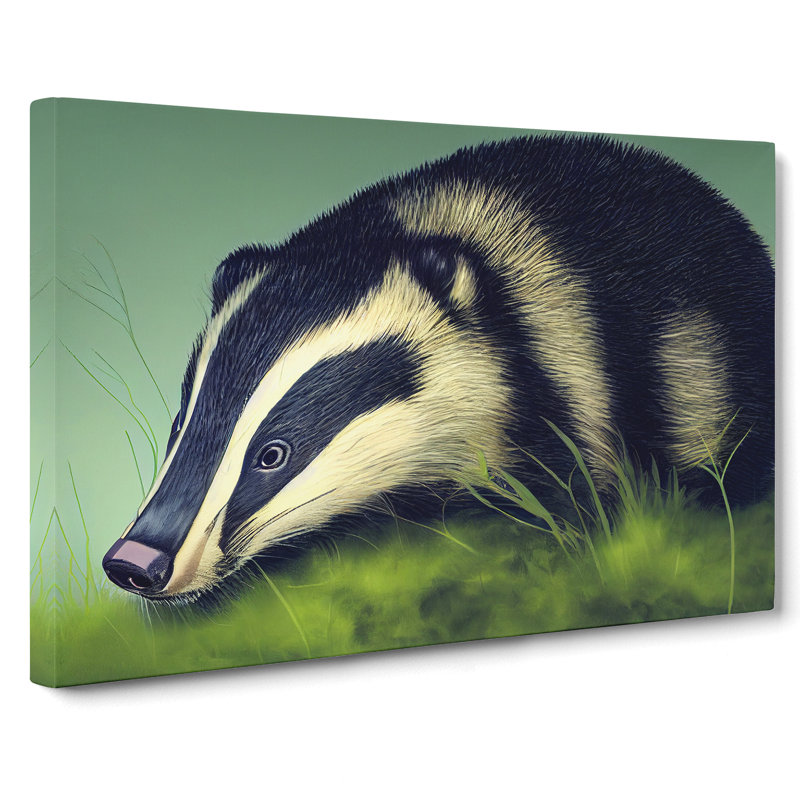View Of A Badger - Wrapped Canvas Print, 35cm H x 50cm W x 3cm D