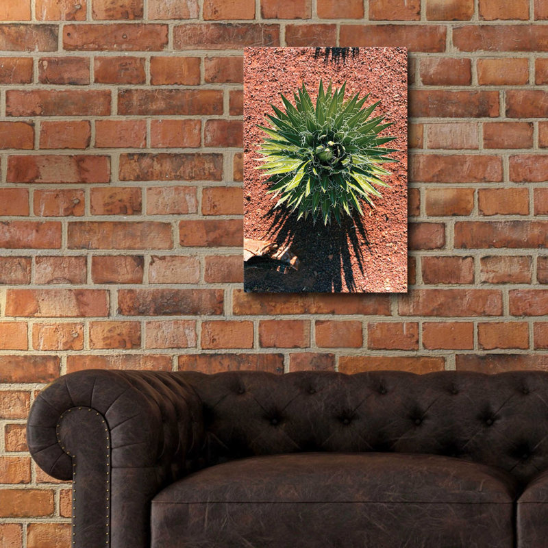 " Utah - Cactus 2 ", H 24 po x l 16 po x P 0,2 po