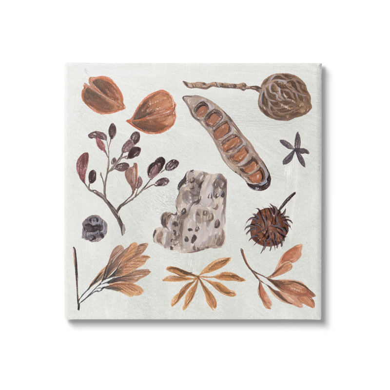 «Brown Seed Leaf Nut Botanicals Nature» par Melissa Wang - Peinture, Toile tendue, H 17 po x l 17 po x P 1,5 po