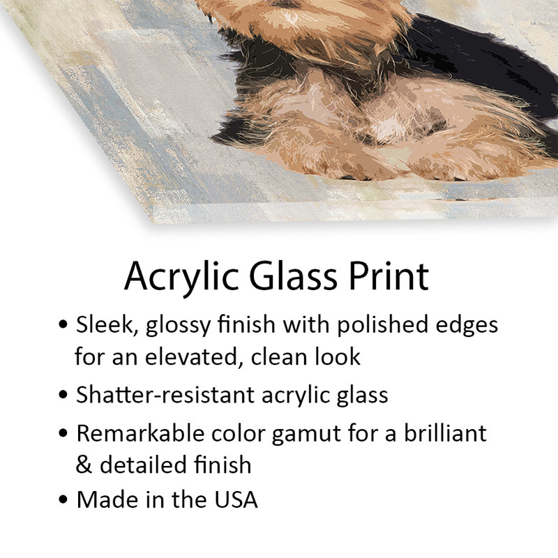 Yorkshire terrier imprimé sur verre acrylique, H 24 po x l 24 po x P 0,25 po