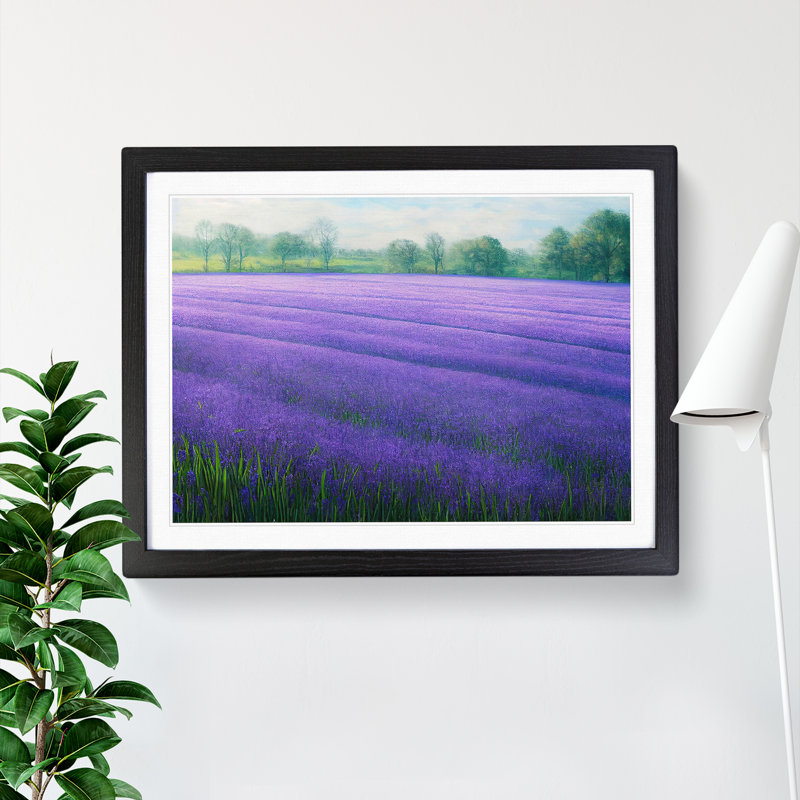XH1022-7281X Radiant Bluebell Field - Single Picture Frame Print, 46cm H x 64cm W, Black