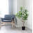 Faux Money Tree Plant in Pot-1382433208