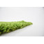 Tapis vert Torun-671548165-715440270