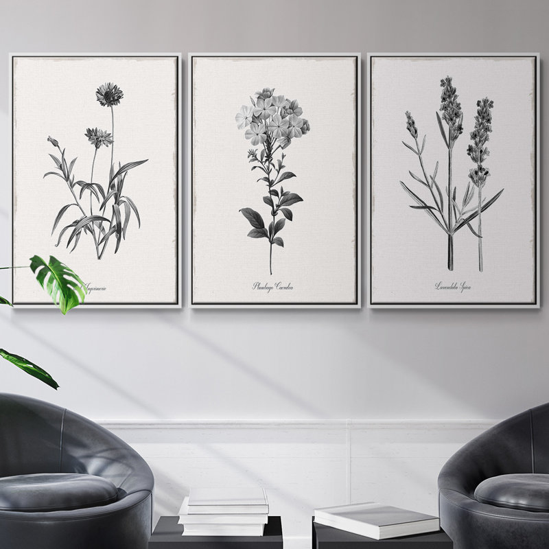 Ensemble de 3 pièces encadrées sur toile Simply Imperial, Blanc, H 40 po x l 78 po