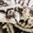 Affleck Abstract Area Rug-2021950322-2125540044
