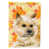 Cairn terrier blond sélectionné