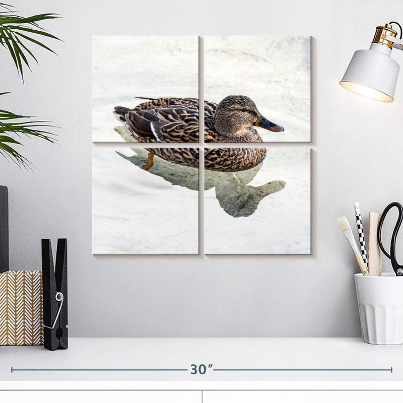 Canard colvert Brampt femelle, H 18 po x l 18 po