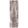 Almelo Performance Abstract Indoor Rug