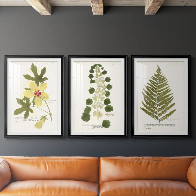 Nature Printed Botanicals douzième, Noir, H 21 po x l 30 po